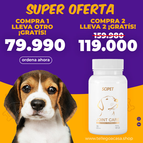 Scipet™ Movilidad y Alegría para tu Perro
