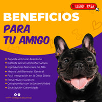Scipet™ Movilidad y Alegría para tu Perro
