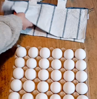 Bolsa Pro-Huevo™ EcoEgg Holder