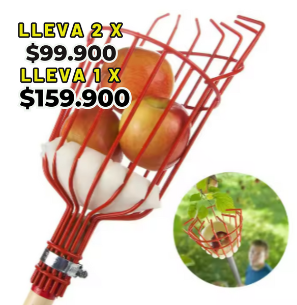 FruitEasy Cutter ™ Herramienta Perfecta para Frutas