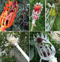 FruitEasy Cutter ™ Herramienta Perfecta para Frutas