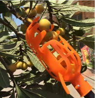 FruitEasy Cutter ™ Herramienta Perfecta para Frutas