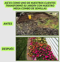 Paraíso Floral™️ 150 semillas orgánicas + 4 obsequios para tu jardín
