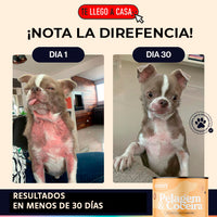Pelagem & Coceira™ ¡Pelaje radiante y saludable!