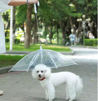 PawProtector Parasol™ PawSombrilla