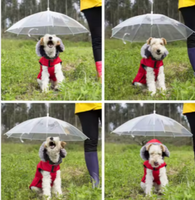 PawProtector Parasol™ PawSombrilla