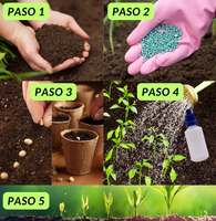 Paraíso Floral™️ 150 semillas orgánicas + 4 obsequios para tu jardín