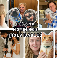 Abrazos en Tela™ Almohadas Personalizadas