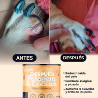 Pelagem & Coceira™ ¡Pelaje radiante y saludable!
