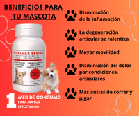 VitalCan Senior™ ¡Solución para una movilidad renovada!