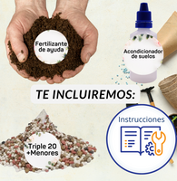 Paraíso Floral™️ 150 semillas orgánicas + 4 obsequios para tu jardín