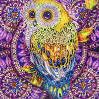Pintura de diamante