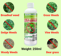 BioHerbicida Kill Grass™️ Mata malas hierbas sin dañar tus plantas