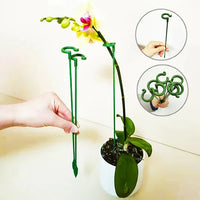 Soportes Realce Floral™️ Tus plantas no se caerán