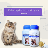 Bocados Integral Pet Gatos
