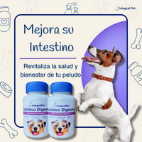 Bocados Integral Pet™️ Mejora su intestino y sus defensas