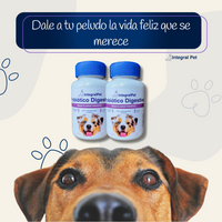 Bocados Integral Pet™️ Mejora su intestino y sus defensas