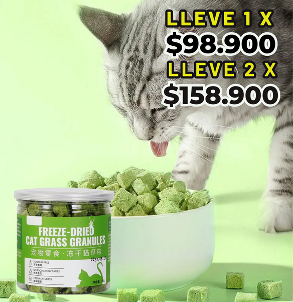 Cat Grass™️ Salud para tu gato.