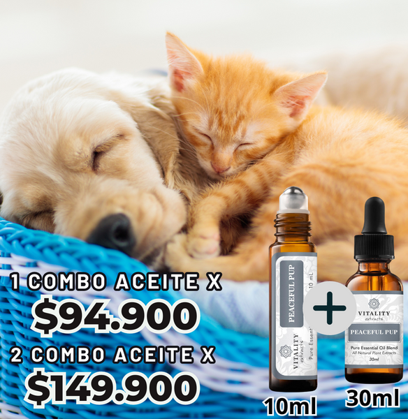 Aceite CalmaPet™️ La calma que tu mascota necesita