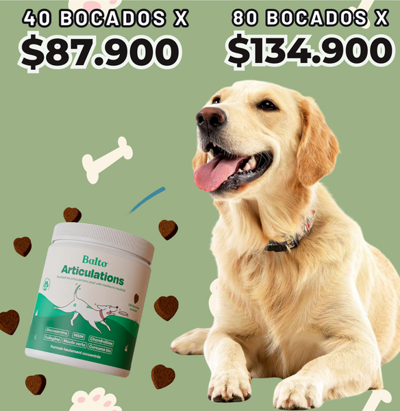Bocados NUtriflex™️ Previene y revitaliza sus articulaciones