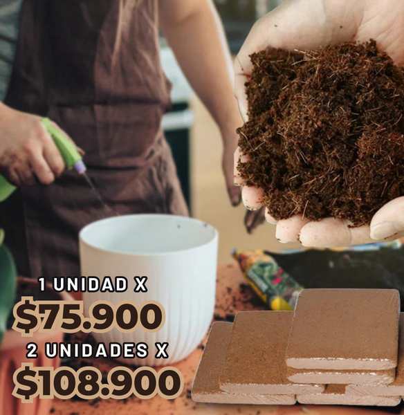 Ladrillo EcoCoco™️ para un jardín más sostenible