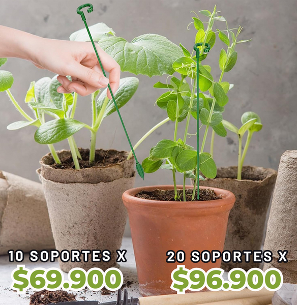 Soportes Realce Floral™️ Tus plantas no se caerán