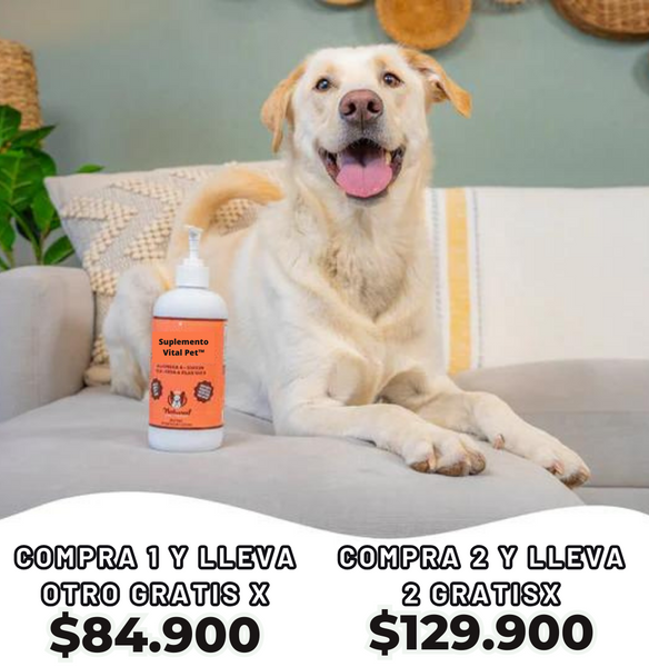 Suplemento VitalPet™️ Eleva la salud y felicidad de tu peludo