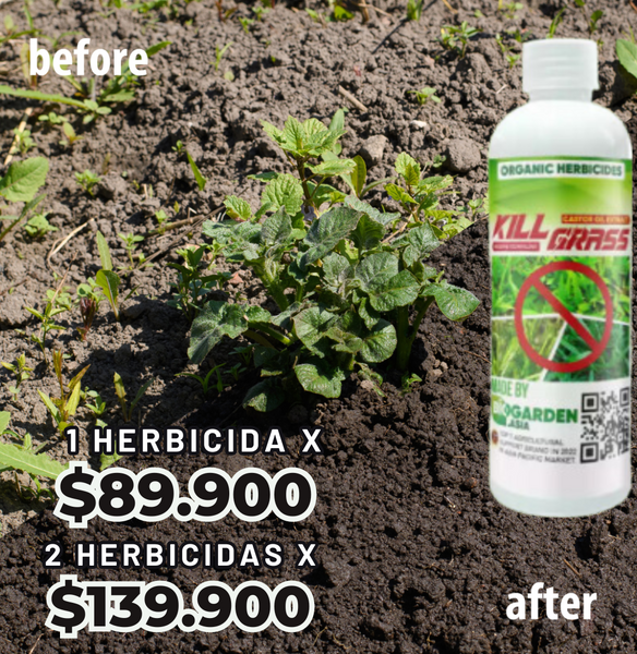 BioHerbicida Kill Grass™️ Mata malas hierbas sin dañar tus plantas
