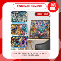 Pintura de diamante