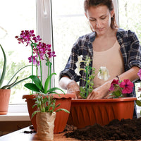 Soportes Realce Floral™️ Tus plantas no se caerán