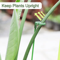 Soportes Realce Floral™️ Tus plantas no se caerán