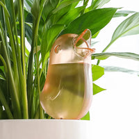 Pajaro de goteo encantador™️ Te ayuda a cuidar tus plantas