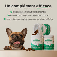 Bocados NUtriflex™️ Previene y revitaliza sus articulaciones