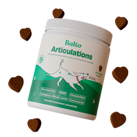 Bocados NUtriflex™️ Previene y revitaliza sus articulaciones