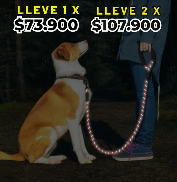 SecurePaws ™ lo mejor para tu mascota