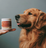 Probióticos Digestivos Vital Pet ™ mejora la vida de tu mascota