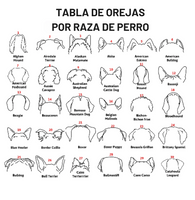 Personalized Pet Memorial ™ el mejor recuerdo de tu mascota