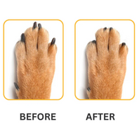 Rascador para perros™ SuavePatas