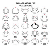 Personalized Pet Memorial ™ el mejor recuerdo de tu mascota