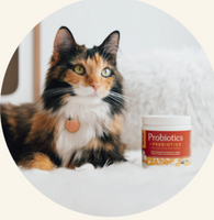 Probióticos Digestivos Vital Pet ™ mejora la vida de tu mascota