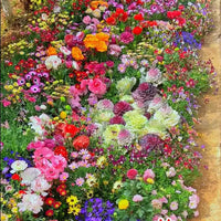 Paraíso Floral™️ 150 semillas orgánicas + 4 obsequios para tu jardín