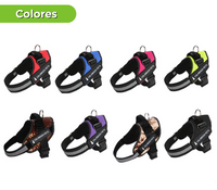 ARNES ANTI TIRONES 40% OFF