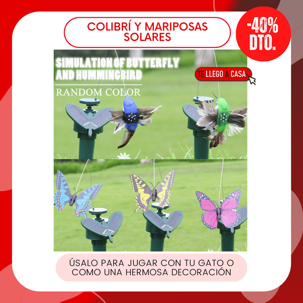 Colibrí y mariposas solares 40% OFF
