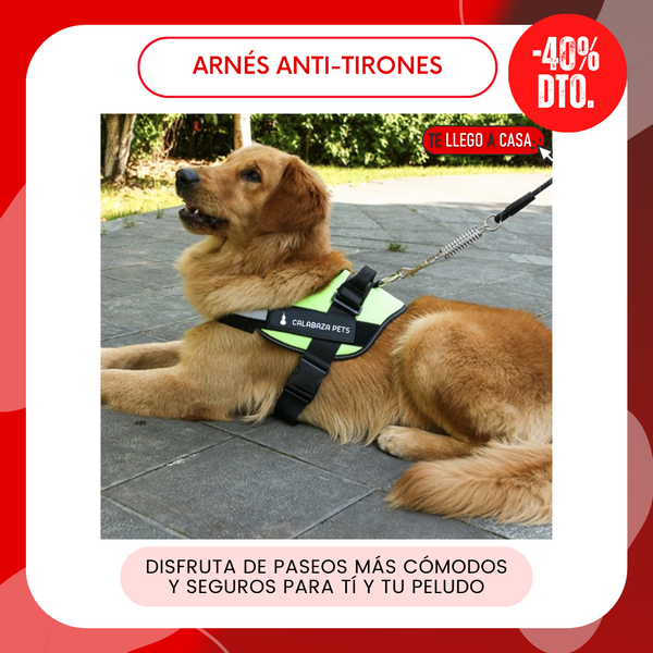 ARNES ANTI TIRONES 40% OFF