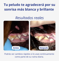 Polvo DentiCan™️ Salva sus dientes y su salud