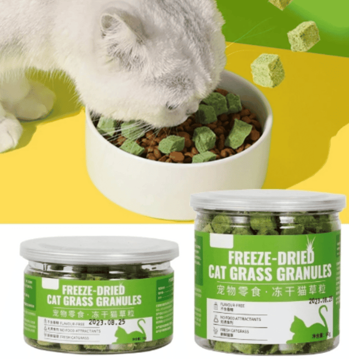 Cat Grass™️ Salud para tu gato.