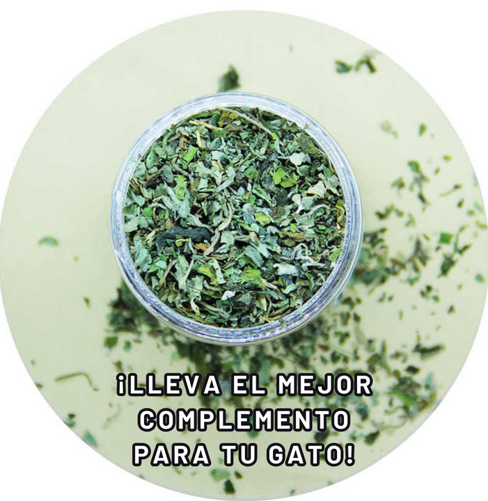 Cat Nip ™ Hierba Gatera