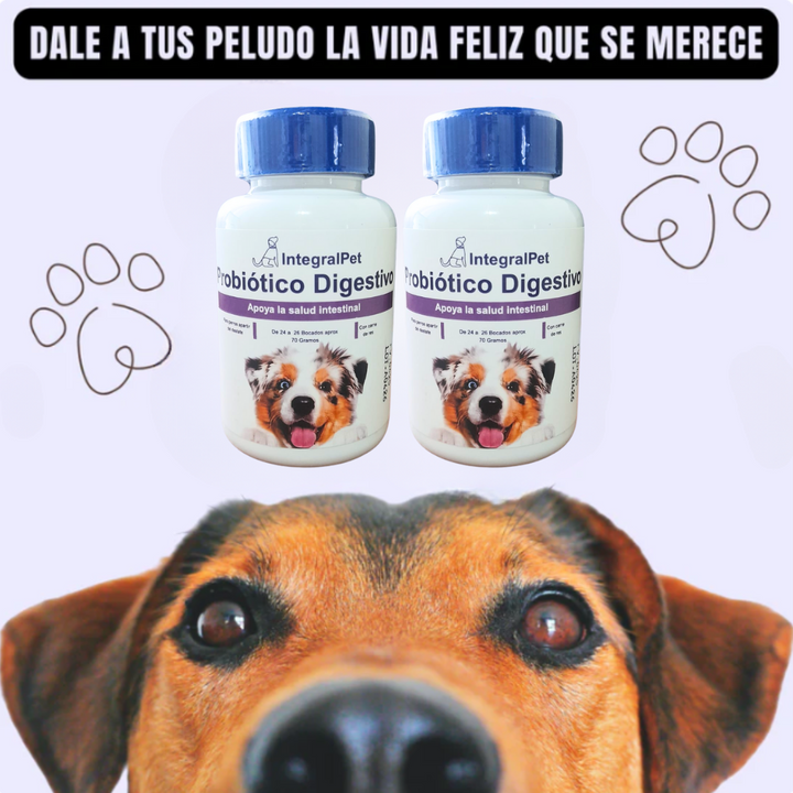 Bocados Integral Pet™️ Mejora su intestino y sus defensas