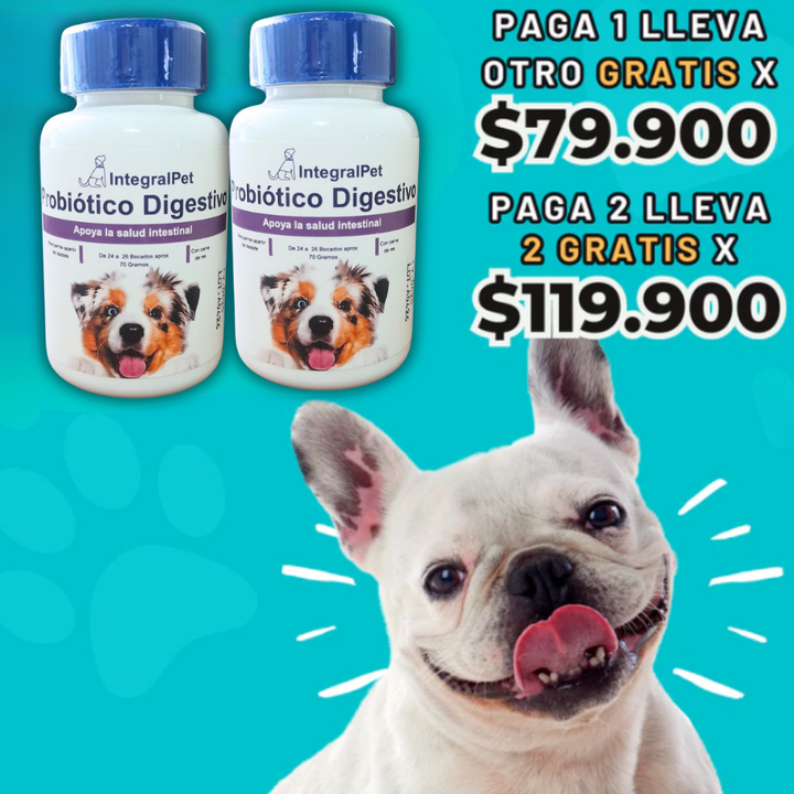 Bocados Integral Pet™️ Mejora su intestino y sus defensas