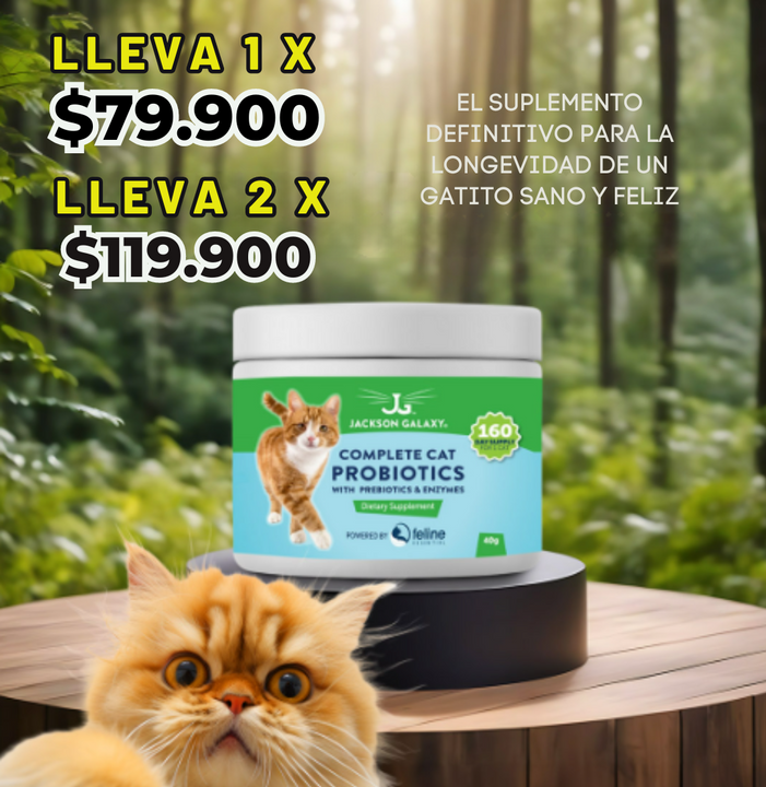 Feline Digestive Boost™ salud digestiva para tu gato